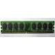 Модуль оперативной памяти 4096Mb DDR2 Patriot PSD24G8002 pc-6400 (800MHz)  (Энгельс)