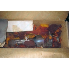 13ЛН8 (Энгельс)