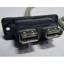 USB-разъемы HP 451784-001 (459184-001) для корпуса HP 5U tower (Энгельс)