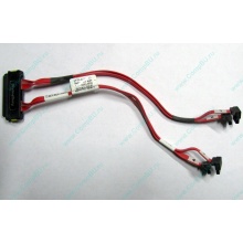 SATA-кабель для корзины HDD HP 451782-001 459190-001 для HP ML310 G5 (Энгельс)