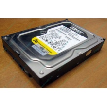 Жесткий диск 160Gb WD WD1602ABKS SATA (Энгельс)
