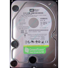 Жесткий диск 500Gb Western Digital WD5000AVVS 5400 rpm SATA (Энгельс)