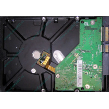 Б/У жёсткий диск 500Gb Western Digital WD5000AVVS (WD AV-GP 500 GB) 5400 rpm SATA (Энгельс)