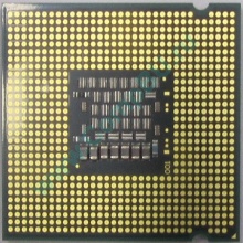 Процессор Intel Celeron Dual Core E1200 (2x1.6GHz) SLAQW socket 775 (Энгельс)