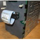 HP 365664-001 кабель SCSI для корзины 373108-001 / 359719-001 HP ML370G4 (Энгельс)