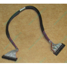 FDD-кабель HP 271946-006 для HP ML370 G3 G4 (Энгельс)