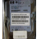 Жёсткий диск 146.8Gb HP 365695-008 404708-001 BD14689BB9 256716-B22 MAW3147NC 10000 rpm Ultra320 Wide SCSI купить в Энгельсе, цена (Энгельс).