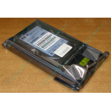 Жёсткий диск 146.8Gb HP 365695-008 404708-001 BD14689BB9 256716-B22 MAW3147NC 10000 rpm Ultra320 Wide SCSI купить в Энгельсе, цена (Энгельс).