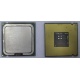 Процессор Intel Celeron D 336 (2.8GHz /256kb /533MHz) SL98W s.775 (Энгельс)