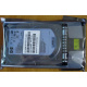 HDD 146.8Gb HP 360205-022 404708-001 404670-002 (Энгельс)