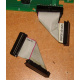 6017B0045701 Шлейф 24pin для Intel C74974-401 T0043401-B01 корпуса SR2400 (Энгельс)