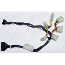 59P4789 FRU 59P4792 в Энгельсе, кабель IBM 59P4789 FRU 59P4792 для серверов X225 (Энгельс)