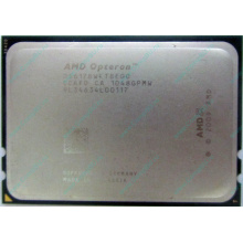 AMD Opteron 6128 OS6128WKT8EGO (Энгельс)