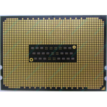 AMD Opteron 6128 OS6128WKT8EGO (Энгельс)