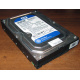Жесткий диск 500Gb WD WD5000AAKX HP 634605-003 613208-001 7.2k SATA (Энгельс)