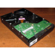 Жесткий диск 500Gb HP 634605-003 613208-001 WD WD5000AAKX 7.2k SATA (Энгельс)