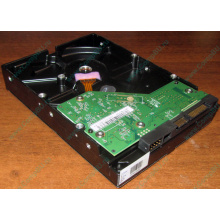 Жесткий диск 500Gb WD WD5000AAKX HP 634605-003 613208-001 7.2k SATA (Энгельс)