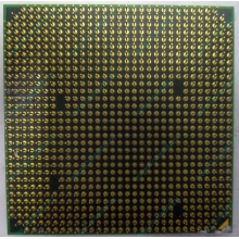 Процессор AMD Athlon 64300+ (1.8GHz) ADA3000IAA4CN s.AM2 (Энгельс)
