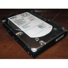 Жесткий диск 300Gb 15k Dell 9CH066-050 6G SAS (Seagate Cheetach ST3300656SS 15K.6) - Энгельс